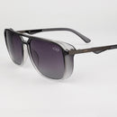 Óculos Sunglass Stalone 2