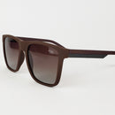 Óculos Sunglass Darius