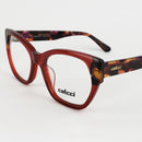 Óculos Colcci Daniele