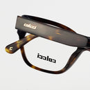 Óculos Colcci Daniele